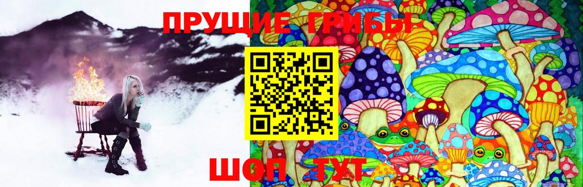 Галлюциногенные грибы прущие грибы  Галлюциногенные грибы прущие грибы  Артём  Вход с VPN 